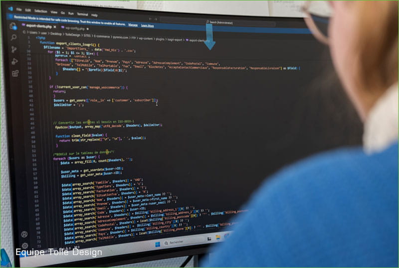 Progrommation PHP WordPress WooCommerce