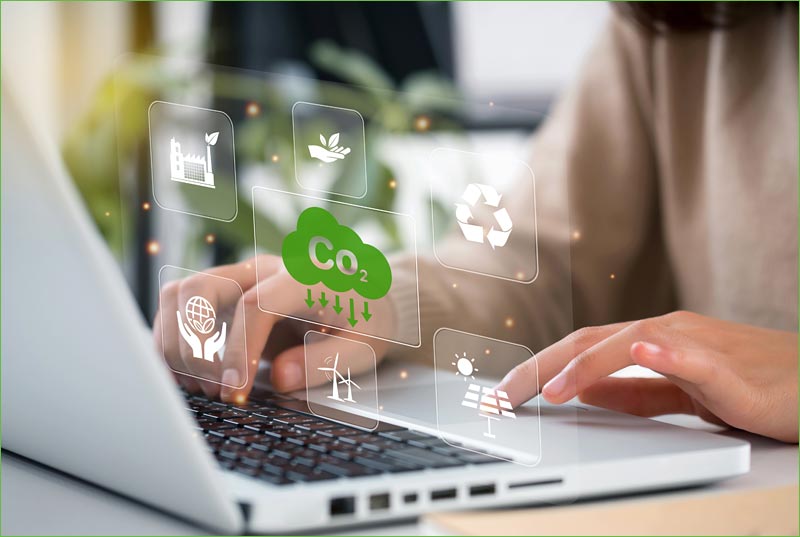 Site Internet Vitrine ou E-commerce